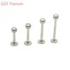 Stud G23 Lip Stud Labret Rings Ear Studs Tragus Body Piercing Smycken Monroe Helix Earrings Wholesale 16G 231020