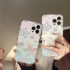 Mobiltelefonfodral Glitter Gradient Star + 3D Plush Crystal Handle Holder Silicone Case For iPhone 14 Pro Max 11 12 13 Fashion Cover 231021