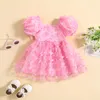 Girl Dresses Focusnorm 0-4y Toddler Kids Girls Princess Dress 3 Colors Short Puff Sleeve 3D Butterfly Decor spets tulle