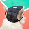 Hundkläder Mesh Dogs Hat Summer Pet Baseball Cap med öronhål Utomhus Sport Sunhat Visor Cat Puppy Sunscreen Headbon