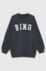 Aninse Bing Anines Sweatshirts Hoody Women Sweatshirt 틈새 틈새 클래식 Eagle 디자이너 스웨터 풀로 후드 AB 221