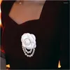 Broşlar yün eşarp düğmesi kamelya pearl broş sonbahar kış bezi vintage pin blazer fransız retro hepburn stil