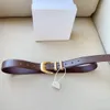 Luxury Genuine Leather Belt Gold Buckle Brown Waistband Belt Women Fashion Waist Leather Belts