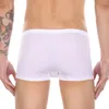 Sous-vêtements Ice Silk Mens Sous-vêtements Boxer Slips Sexy Shorts U Poche convexe Trunks avec des tasses Améliorer le pénis Culotte Boxers