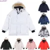 Down Parkas Mens Designer Jacket Canadian Goose Winter Puffer Big Fur Hoody Apparel Letters Printed Outwears N8of