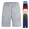 Men's Pants 2023 Cross Border European And American Summer Shorts For Men Versatile Casual Stretch Breathable Capris