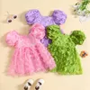Girl Dresses Focusnorm 0-4y Toddler Kids Girls Princess Dress 3 Colors Short Puff Sleeve 3D Butterfly Decor spets tulle