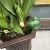 سقي الكرة المنزل حديقة البلاستيك البلاستيك النباتات محفوظة بوعاء معدات كرة الماء الكسول جهاز سقي الزهور التلقائي 1022