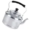 Kubki domowe herbatę aluminium teapot restauracja Kettle domowy z uchwytem 3L