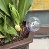 سقي الكرة المنزل حديقة البلاستيك البلاستيك النباتات محفوظة بوعاء معدات كرة الماء الكسول جهاز سقي الزهور التلقائي 1022