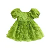 Girl Dresses Focusnorm 0-4y Toddler Kids Girls Princess Dress 3 Colors Short Puff Sleeve 3D Butterfly Decor spets tulle