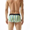 Underpants homens puro algodão colorido listrado boxer shorts canto plano underwea perna u saco convexo quatro cornerboxer e