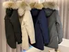 Vestes Parkas en duvet de canard blanc pour hommes, avec fermeture éclair, capuche en fourrure rayée, manteaux courts Slim, collection automne-hiver 2023, GEM002