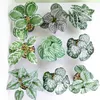 Decorative Flowers Artificial Plants Leaves Silk Tortoiseshell Leaf Simulation Greenery Home Garden Wall Green Decorations