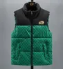 23ss mens vest Patchwork embroidery puffer vest men Thickened warm down cotton designer vest