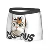 Sous-vêtements hommes mignon chaton attraper papillon Boxer slips culottes sous-vêtements doux mâle drôle grande taille