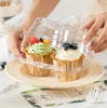 Contenitore per cupcake Factory a 2 scomparti - Scatola porta cupcake profonda Custodia in plastica trasparente senza BPA impilabile SN6276