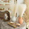 Decoratieve Bloemen Kunstmatige Pampas Gras Bloemboeket Voor Thuis Bruiloft Decoratie Accessoires Party Room Decor Slaapkamer DIY Vaas Fake