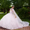 Pink Princess Mint Green Ball Gown Quinceanera klänningar från axelblommor Applikationer med Cape Luxury Corset Vestidos de 15 Anos