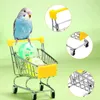 Altre forniture per uccelli 6 pezzi di addestramento per pappagalli Clicker Educational Ferrules Trolleys Piet Equipment Toys per accessori per pappagalli
