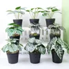 Decorative Flowers Artificial Plants Leaves Silk Tortoiseshell Leaf Simulation Greenery Home Garden Wall Green Decorations