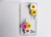 Decorative Flowers 100pcs Dried Pressed Daisy Flower Stenoloma Chusanum Leaf Plant Herbarium For Jewelry Po Frame Phone Case Craft Making