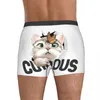 Sous-vêtements hommes mignon chaton attraper papillon Boxer slips culottes sous-vêtements doux mâle drôle grande taille