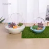Vasos nova micro paisagem vaso de vidro suculenta planta terrário recipiente vasos de flores transparente vaso hidropônico mesa de casamento decorl24