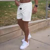 Shorts masculinos 2023 homem ginásio muscular verão jogging fitness correndo calça curta marca moda malha movimento treinamento calças casuais