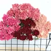 Decorative Flowers 10 Pcs/Bundle Carnation Plant Mother Teacher's Day Thanksgiving Gift Bouquet Home Party Wedding Decoration Pography Props