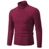 Pulls pour hommes Pull à col haut Pull de couleur unie tricoté chaud décontracté col roulé Sweatwear laine hiver hauts en plein air 231116