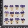 Decorative Flowers 120pcs Pressed Dried Viola Tricolor L Pansy Herbarium For Nail Art Face Make UP Epoxy Resin Jewelry Frame Phone Case