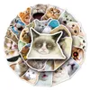 50 PCS CAT Expression Pack Cartoon Creative Graffiti bildekoration PVC Notebook DIY Personlighet Vattentät hjälmklistermärke