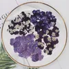 Fiori decorativi 120 pezzi pressati essiccati viola tricolore L viola del pensiero erbario per nail art viso trucco resina epossidica cornice per gioielli cassa del telefono