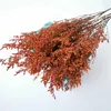 Decoratieve bloemen 40g Gedroogd eeuwig limonium minnaargras bewaard voor woonkamerdecoratie Bloemboeket Valentijnsdag bruiloftsdecor