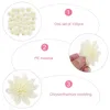 Fiori decorativi 100 pezzi Diffusori Diffusore di profumo di fiori Rattan Aroma Crisantemo Fragranza naturale
