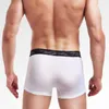 Onderbroek mannen ondergoed Ice Silk Boxer Shorts Solid Color Ultra-dunne ademend slipje transparant voor mannelijk