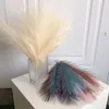 Decoratieve Bloemen Kunstmatige Pampas Gras Bloemboeket Voor Thuis Bruiloft Decoratie Accessoires Party Room Decor Slaapkamer DIY Vaas Fake