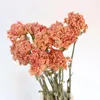 Decorative Flowers 10 Pcs/Bundle Carnation Plant Mother Teacher's Day Thanksgiving Gift Bouquet Home Party Wedding Decoration Pography Props