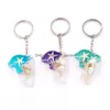 Keychains Lanyards Wholesale Unique 7 Colors Creative Fashion Amber Luminous Dolphin Key Chain Real Starfish Specimen Car Ys2K002 Dr Dh82U