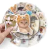 50 PCS CAT Expression Pack Cartoon Creative Graffiti bildekoration PVC Notebook DIY Personlighet Vattentät hjälmklistermärke