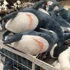 دمى Plush 1pcs Plush Shark Doll Toy Cute Mini Keychain Soft Studed Speelgoed Plushie للحصول على هدايا أعياد الميلاد للدمى للأطفال 231023