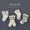 Barnstrumpor 1272 Autumn Kids Teenagers Strumpor Rands Letters Cotton Baby Boys and Girls Barn Socks 231023