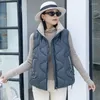 Women's Trench Coats Women Autumn Winter Warm Cotton Vest Stand Collar Solid Sleeveless Big Pocket Coat Ladies Zipper Loose Jacket