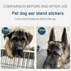 Dog Apparel 2pcs/set Pet Ear Stand Up Stickers Correction Supplies Care Tools Convenient Effective