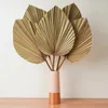 Garden Decorations Dried Palm Leaves Room Decor 5 Pieces - 18Inch H X 10Inch W Large Natural Palm Leaf Decor For A Beautiful Boho Look 231023