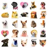 50個のオンライン有名人の犬の表現パックかわいい漫画クリエイティブウォータープルーフ装飾