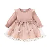 Girl Dresses 2023 Children's Clothing Europe And The United States Girls Skirt Female Baby Embroidered Mesh Dress