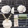 20 Stile Anhänger Halsketten 18 Karat vergoldetes Silber Hochwertiger Titanstahl Designer Marke Buchstabe Kristall Halskette Links Ketten Männer Frauen Liebhaber Schmuck