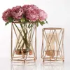 Vases Iron Line Metal Flowers Pot Plated Alloy Glass Vases Golden Vase Floral Flower Arrangement Modern Luxurious Plant Holder NordicL23/10/23